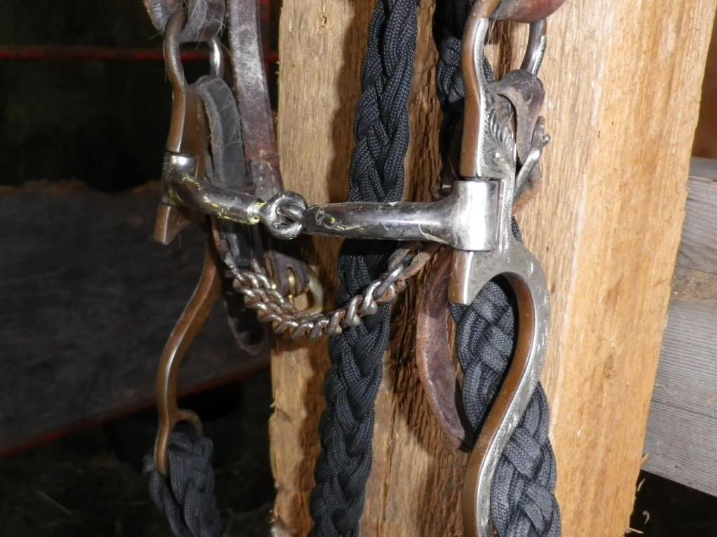 What is the Bit That You use Page 4 The Horse Forum